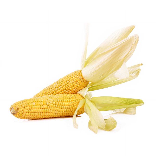 Corn