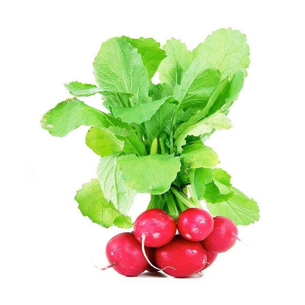 Radish