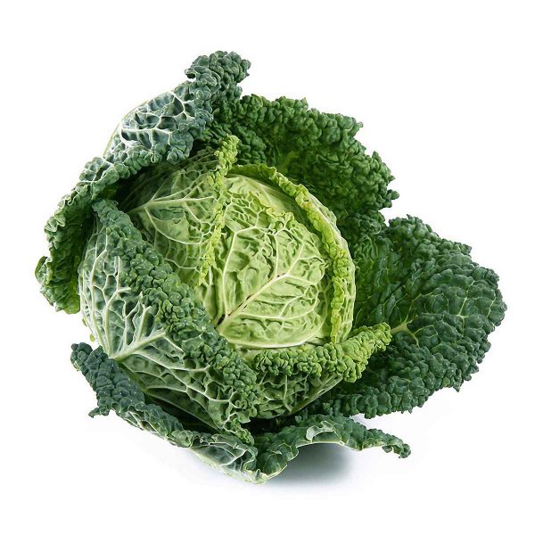 Cabbage