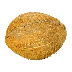 Coconut