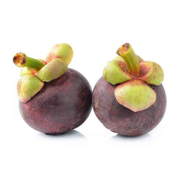 Mangosteen