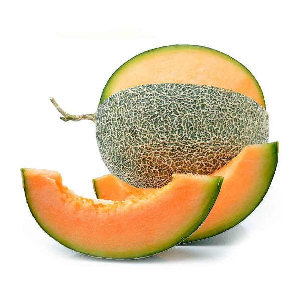 Fresh muskmelon